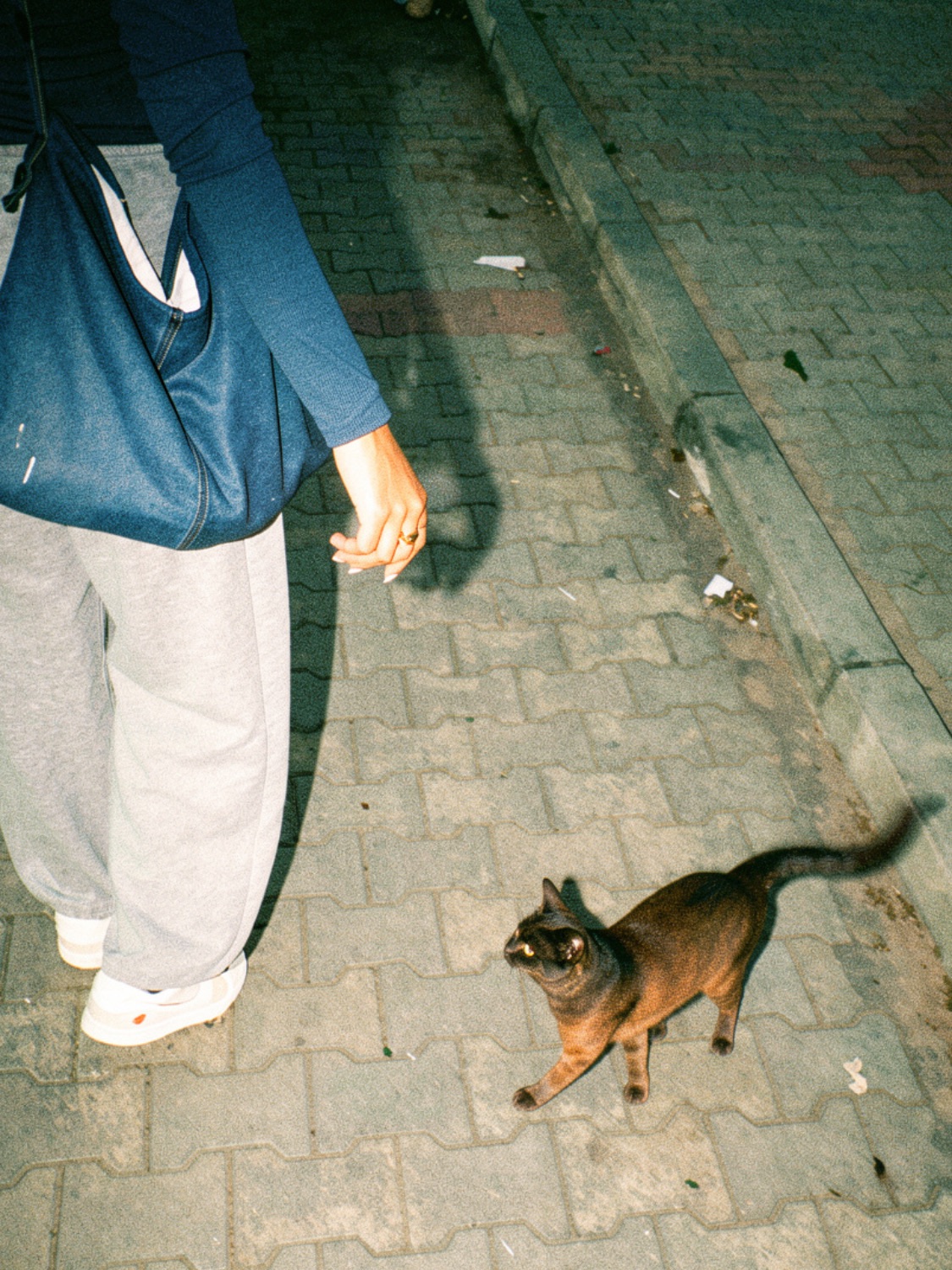 Autumn Hues: Dare to Stand Out.